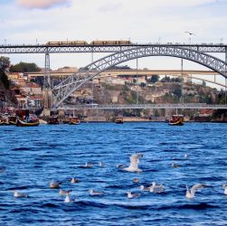 Oporto-Douro El viajero global
