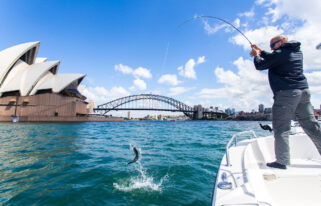 Sydney Fly Fishing Tours on Sydney Harbour