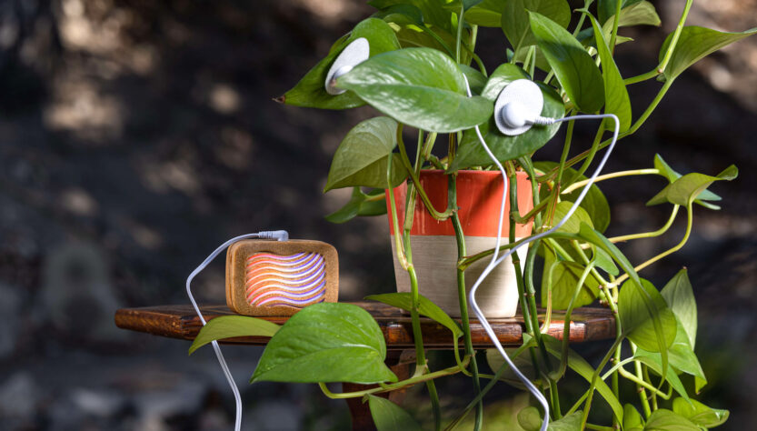 converting-plant-biorhythms-into-real-time-music-for-indoor-environments_plant wave El viajero global