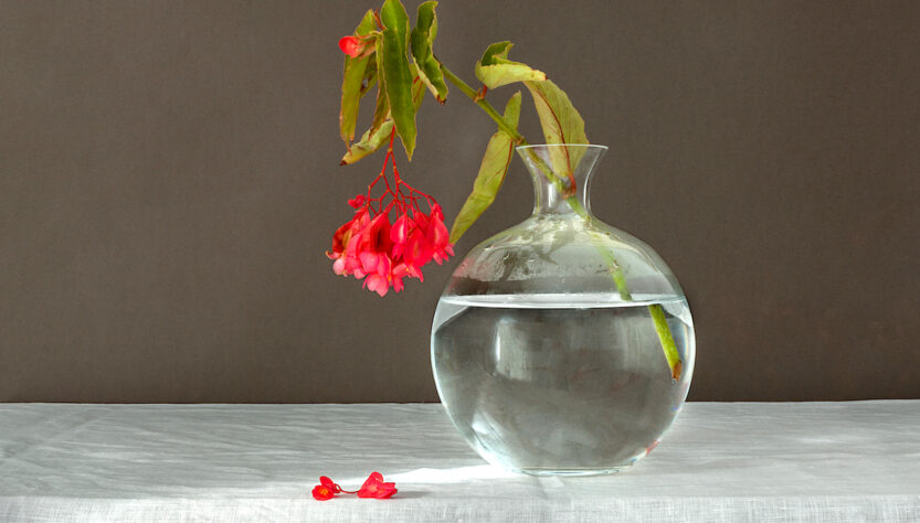 recipiente de cristal con flores rojas. 2018 pilar pequeño El viajero global