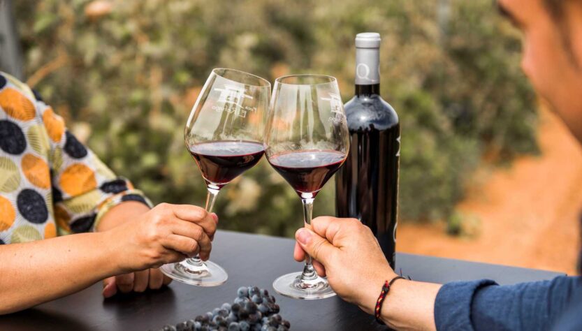 Cata en viñedo La Mancha El viajero global