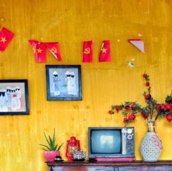 Naturaleza Muerta © Roberto Mentira - Indonesia ippawards 2023 El viajero global