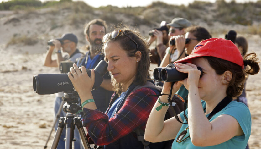 Observación de aves en la playa Sagres Birdwatching El viajero global