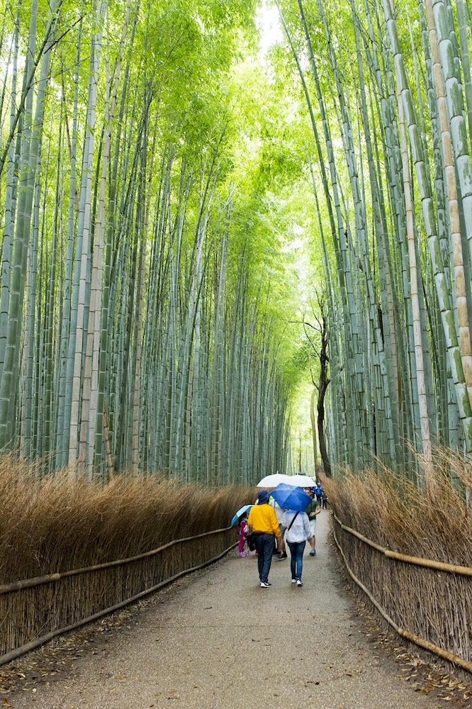 4 arashiyama-bamboo-grove-mkitina4_Pixabay