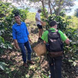 Honduras1_Finca Santa Isabel_honduras.com