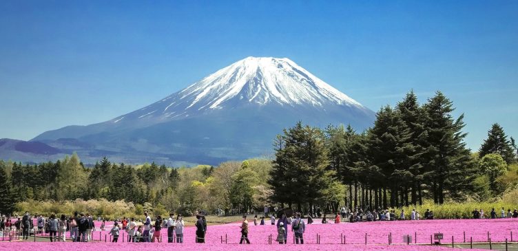 09 Musgo rosa_Festival Fuji Shibazakura_phurichaya-kitticharin-unsplash