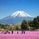 09 Musgo rosa_Festival Fuji Shibazakura_phurichaya-kitticharin-unsplash