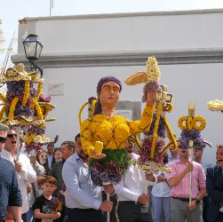 CMBras - Fesa das tochas floridas 3