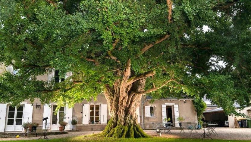 France_01_ETY_2026_credit_Emmanuel_Boitier/ Terre Sauvage