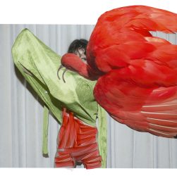 01_SO_Viviane Sassen_Eudocimus Ruber 2017