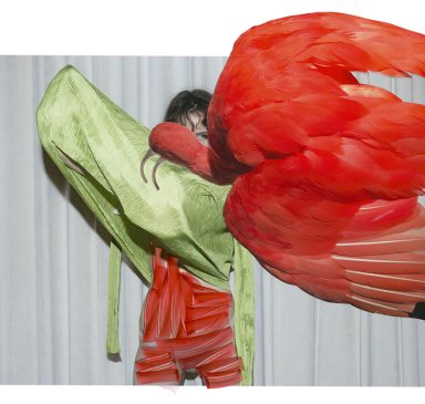 01_SO_Viviane Sassen_Eudocimus Ruber 2017