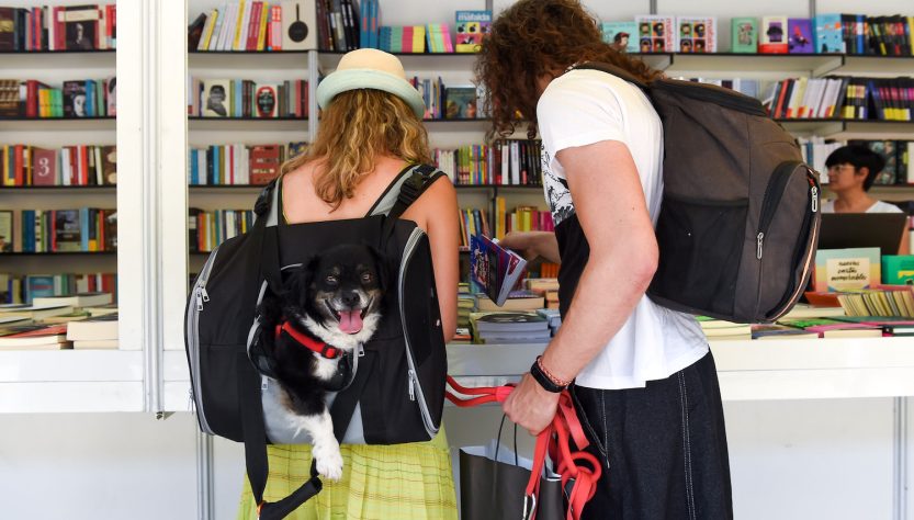 Feria del Libro de Madrid 2025 | Feria del Libro de Madrid