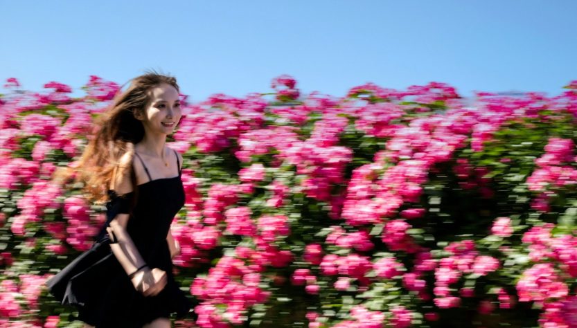 Flores Mujer_yang-liu-unsplash